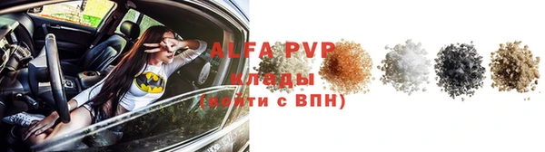 ПСИЛОЦИБИНОВЫЕ ГРИБЫ Богородицк