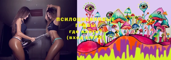 бутират Богданович